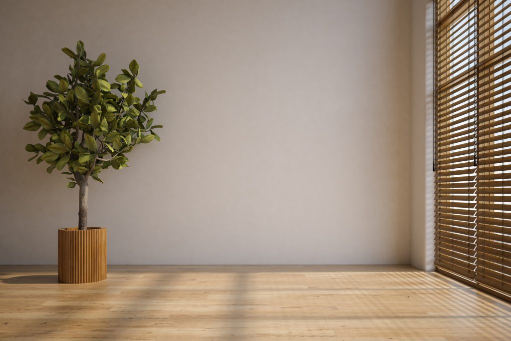 Empty interior room