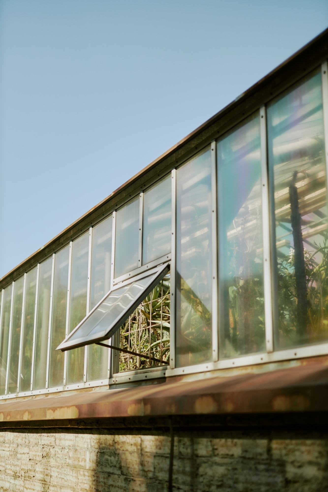 Opened Window In Glasshouse