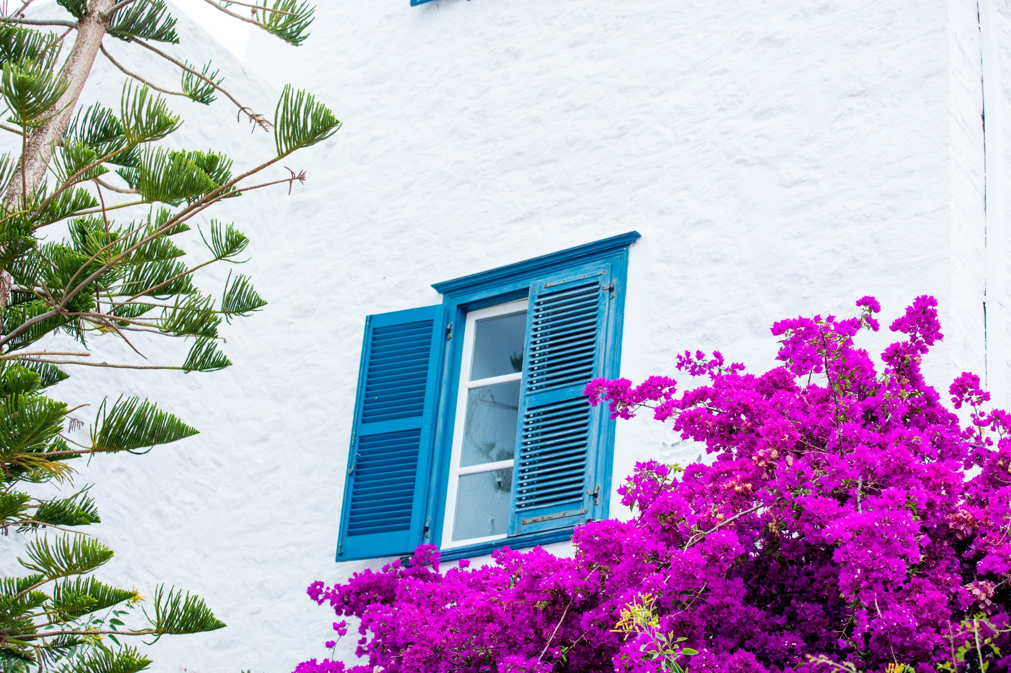 Louvered Windows