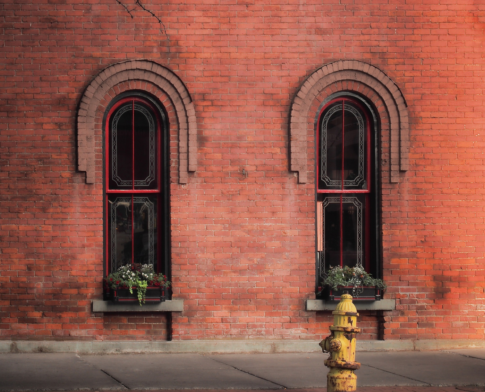 arched windows