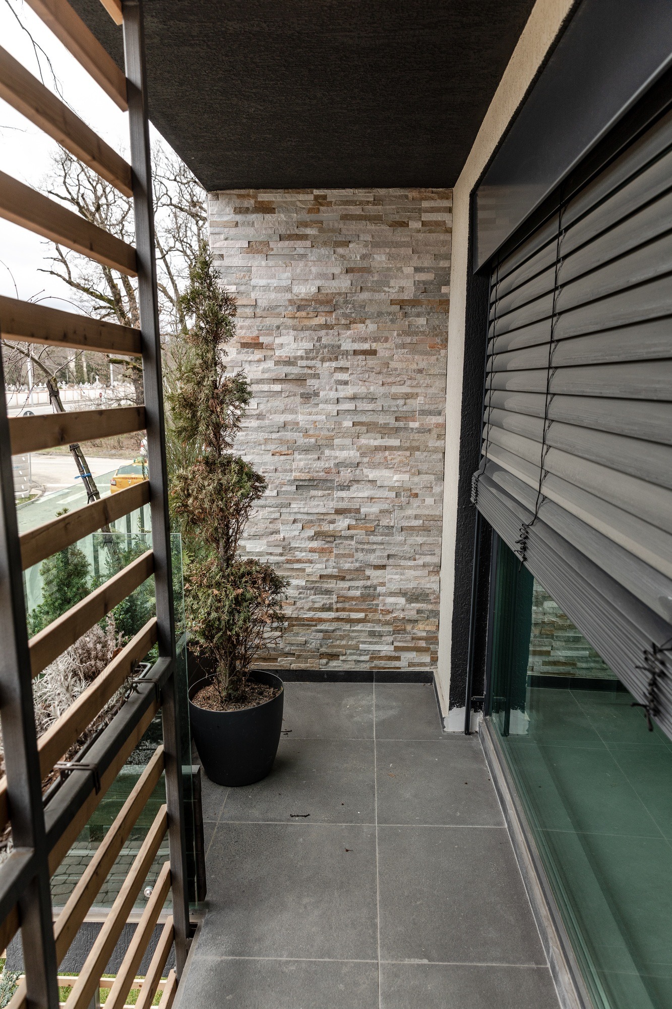 Vertical shot of a house yard with a plant and french windows with partially opened window blinds